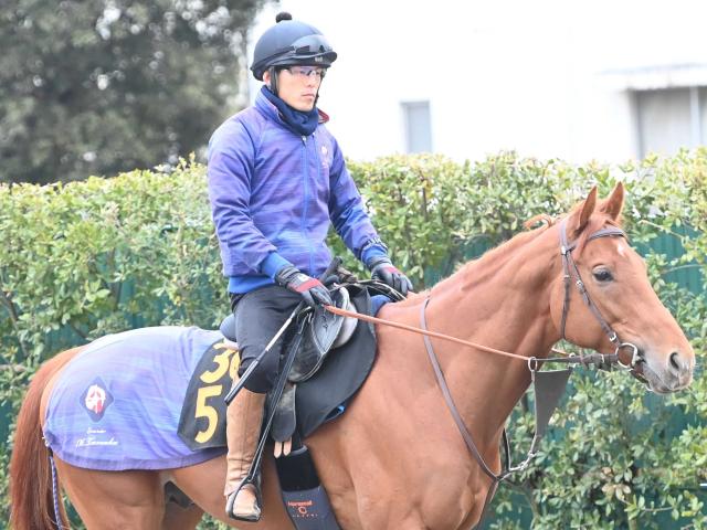 ３歳アロヒアリイはパリ大賞に挑戦　結果次第で凱旋門賞へ