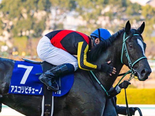 【ヴィクトリアM枠順確定】アスコリピチェーノは8枠17番、ステレンボッシュは1枠2番