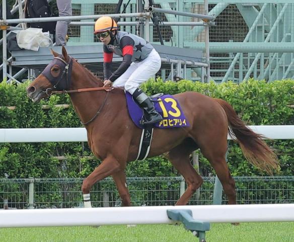 アロヒアリイはパリ大賞典へ　結果次第では滞在で凱旋門賞を視野
