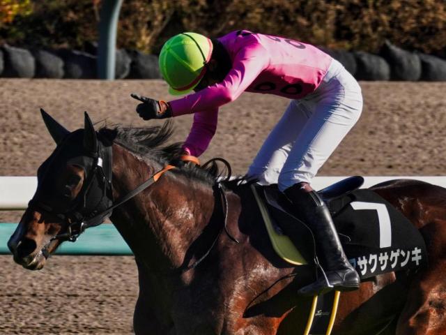 【京都HJ枠順確定】アサクサゲンキは8枠10番、アンクルブラックは5枠5番