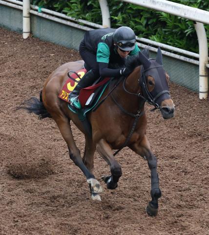 【ヴィクトリアM】アリスヴェリテは大外18番枠　中竹調教師「中途半端な枠よりいい」