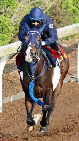 【ヴィクトリアM】ボンドガールは偶数枠の5枠10番　手塚久調教師「真ん中でちょうどいい」
