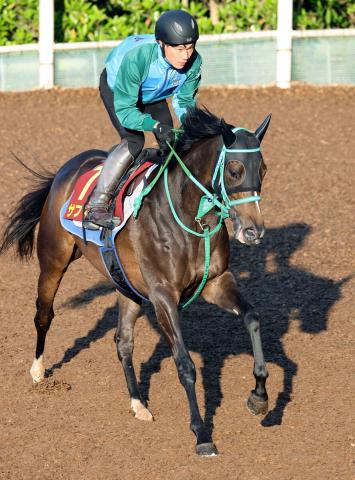 【ヴィクトリアM】阪神牝馬Sを制したサフィラは2枠4番　池添調教師「極端な外とかではなく良かった」