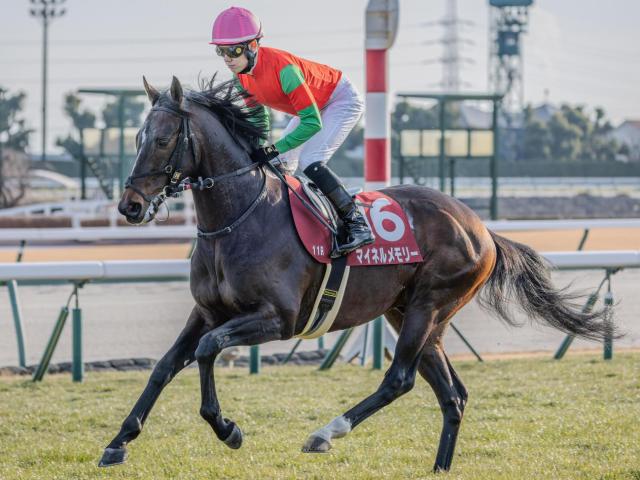 新潟芝はイン悪化が顕著 新潟大賞典は道悪巧者のマイネルメモリーで勝負だ