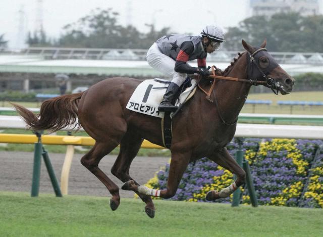 アロヒアリイ　パリ大賞参戦　田中博師「結果次第で、滞在で凱旋門賞を」
