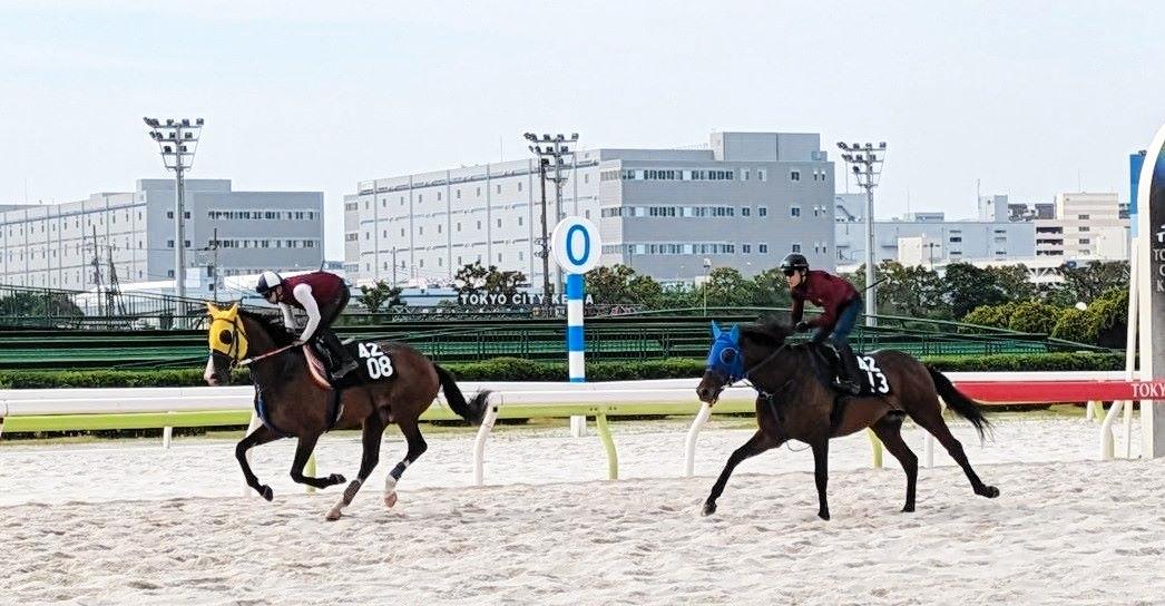 【地方競馬】デイリー盃大井記念　キリンジが最終追い切りで１馬身先着　渡辺和師は「いい追い切り」とご満悦