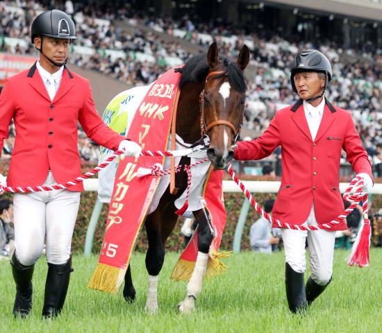 V賞金は5億円超!　3歳マイル王のパンジャタワーが2023年にオオバンブルマイも勝った豪州のレースに参戦へ