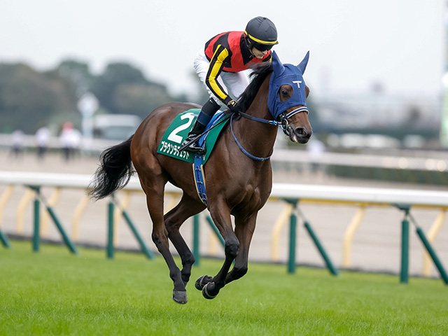 【オークス】主要な記録を一挙紹介 全85回の歴史で最多優勝騎手・調教師・馬主とは？