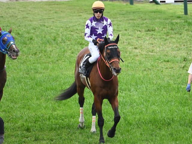 【有力馬動向】サンライズアリオンは北海道遠征を視野に 先週の平城京SをV/馬三郎のつぶやき