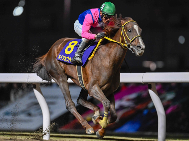 【平安S想定馬・騎手】メイショウハリオ、ブライアンセンスなど18頭
