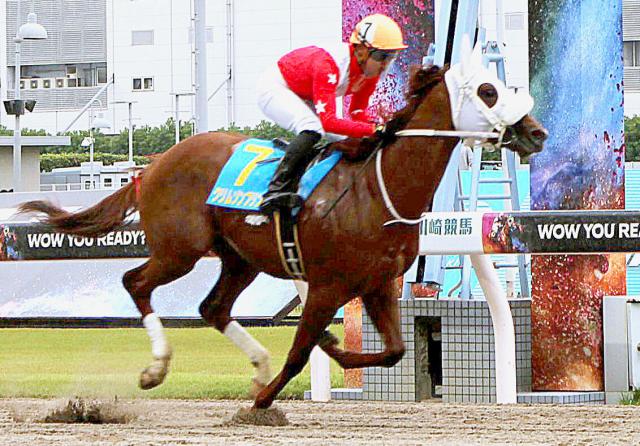 クロムゾンプリンスとキイチヘリオスが新馬戦V　川崎競馬