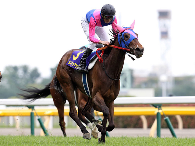 GI・3勝の名牝メイショウマンボ 9番人気評価を覆したオークスを振り返る