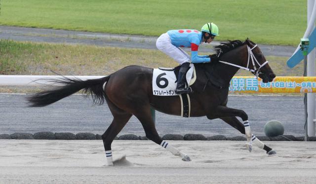 無敗4連勝中の4歳牝馬ダブルハートボンド　次走が6・14三宮Sに決定　オープン初勝利なるか