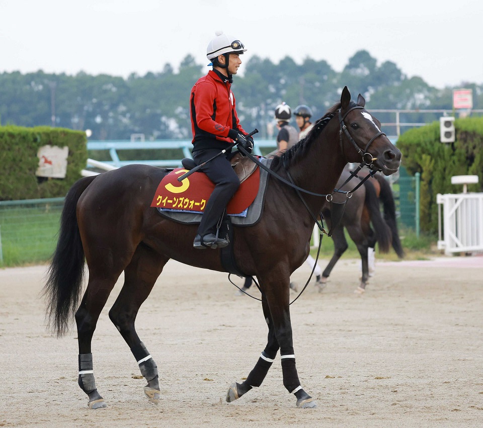 【ヴィクトリアＭ】クイーンズウォーク８枠１６番　福永助手「体調や馬の雰囲気はすごく良さそう」