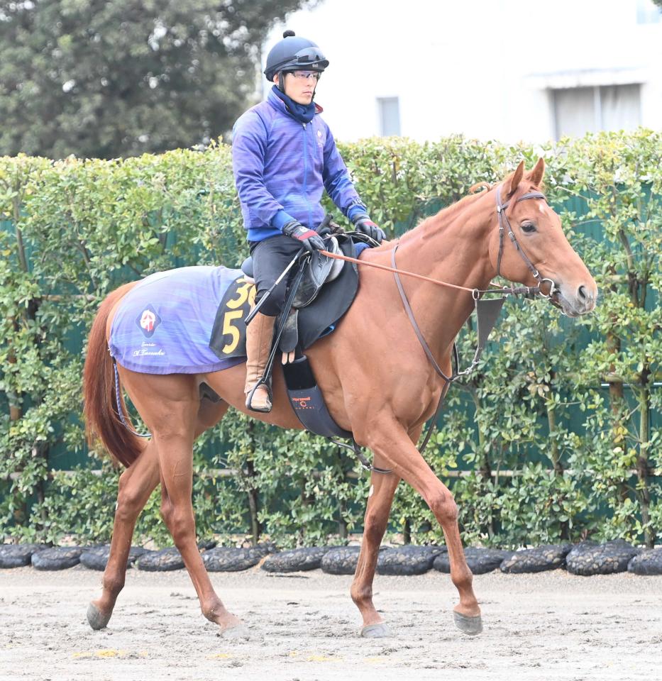 アロヒアリイがパリ大賞挑戦　結果次第で凱旋門賞参戦も視野　鞍上は調整中