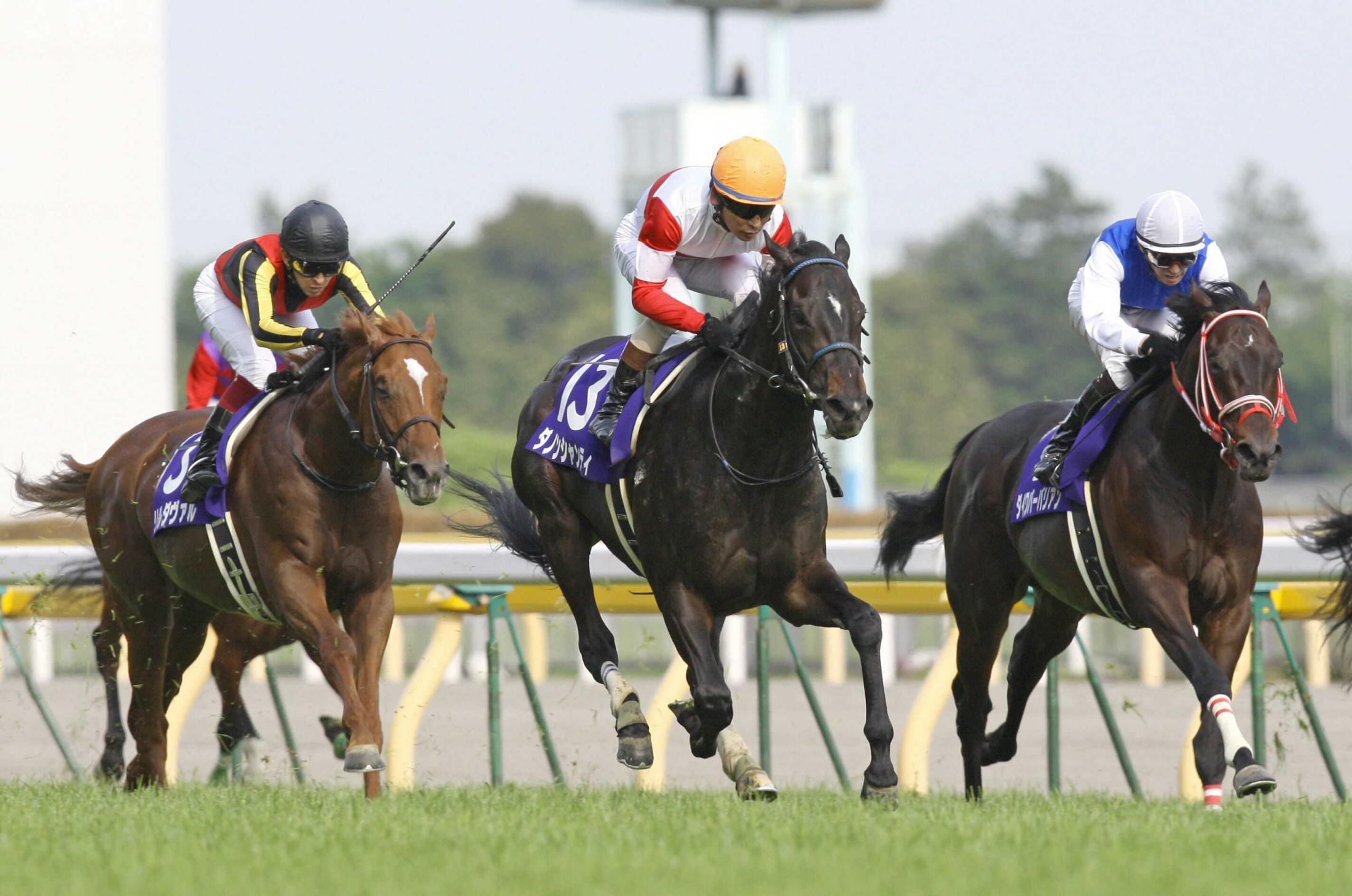 １０年ＮＨＫマイルＣ覇者・ダノンシャンティ死す　１８歳　種牡馬としてはスマートオーディンなど輩出