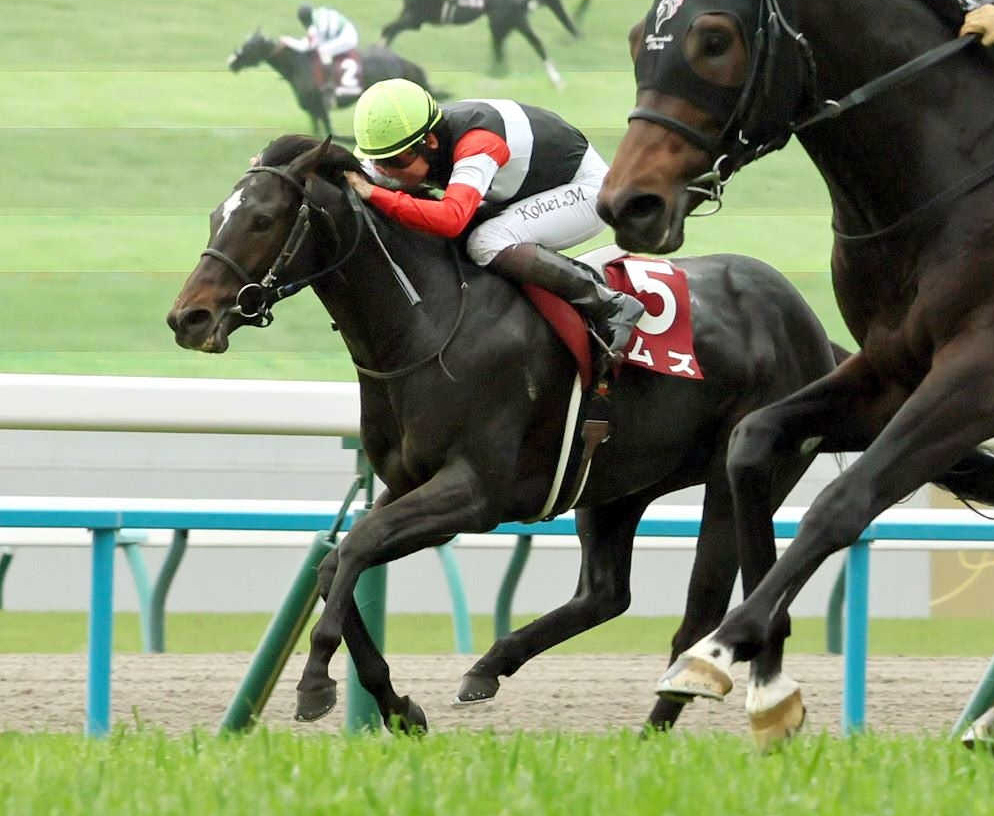 京都新聞杯２着馬エムズ　ダービーはリーディングトップ戸崎圭との新コンビ　２着３回の戸崎圭は新パートナーと悲願達成狙う