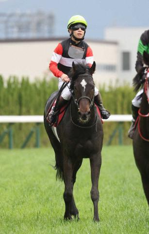 京都新聞杯2着エムズは戸崎との新タッグで6・1日本ダービー参戦!