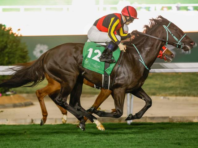 【AI予想・ヴィクトリアM】コース替わりで先週の傾向は通用せず!? 人工知能の本命は牝馬トップクラスの能力馬