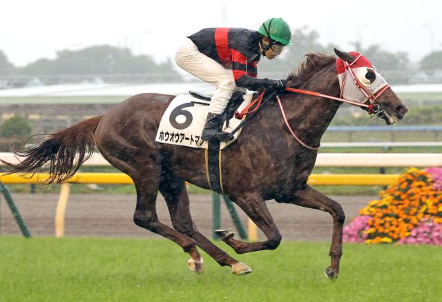 【東京6R・3歳1勝クラス】ホウオウアートマンが堂々と抜け出す　矢作調教師「秋には菊花賞を目指せるように」