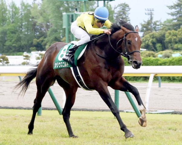 【新潟大賞典】シリウスコルトが連勝で重賞初勝利　今年3月に開業の田中勝春調教師は重賞初挑戦V