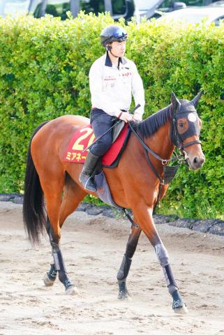 【ヴィクトリアM】鞍上ディーの3枠6番ミアネーロが出走取消　右前肢ハ行　17頭立てに