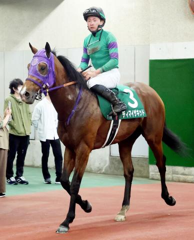 【新潟大賞典】2番人気のディマイザキッドは直線で伸びず8着　岩田望来騎手「ペースが遅すぎた」