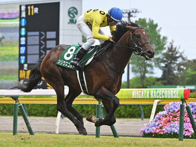 【新潟大賞典結果】シリウスコルトが逃げ切り2連勝 田中勝春調教師はJRA重賞初制覇