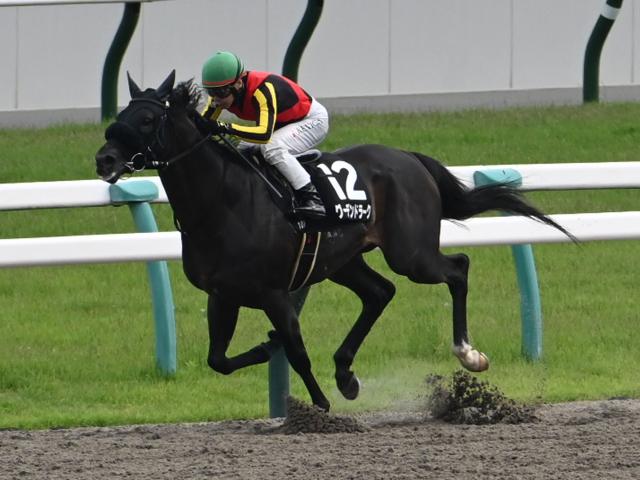 【上賀茂Sレース後コメント】グーデンドラーク池添謙一騎手ら