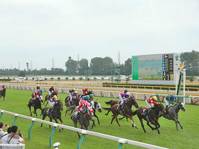 5月17日の出来事一覧/新潟・東京・京都