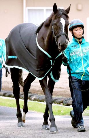 【ヴィクトリアM】アスコリピチェーノが単勝3・3倍の1番人気　単勝10倍以下は5頭と混戦模様