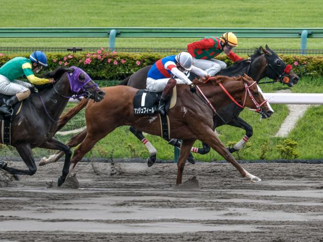 【立川特別レース後コメント】アンジュフィールド三浦皇成騎手ら