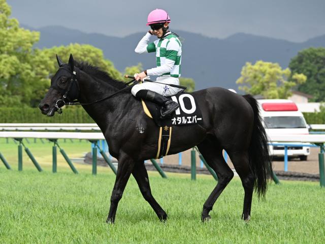 【鞍馬Sレース後コメント】オタルエバー幸英明騎手ら