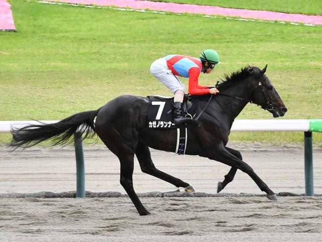 【中ノ岳特別レース後コメント】カゼノランナー北村友一騎手ら