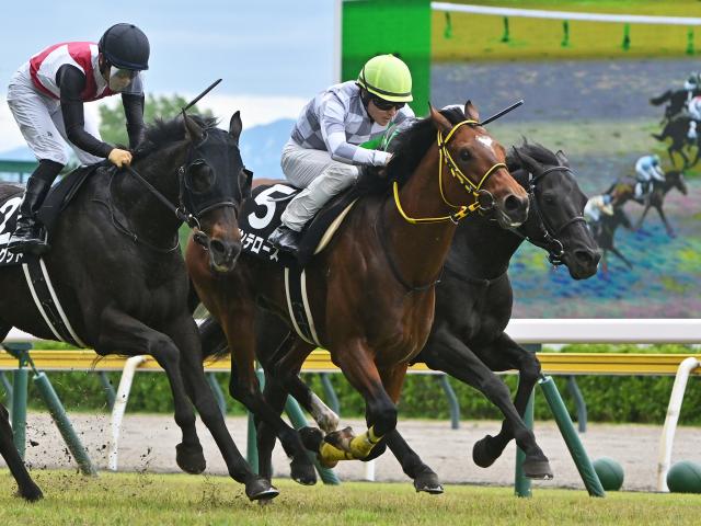 【尖閣湾特別レース後コメント】アンテロース吉田隼人騎手ら