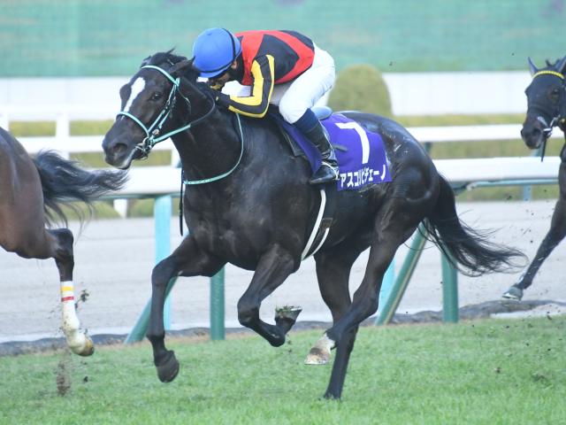 【今日の注目ポイント】春の女王決定戦・ヴィクトリアマイル