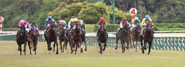 【新潟大賞典】シリウスコルト快逃V!　田中勝師はJRA重賞初出走初勝利「まさかこんなに早く…」