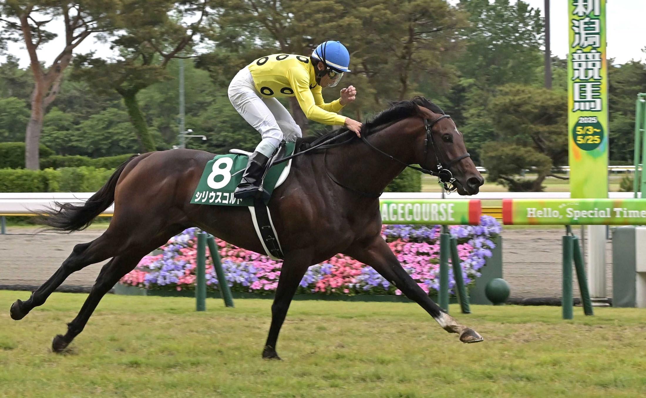 【新潟大賞典】田中勝師がＪＲＡ重賞初挑戦初Ｖ！８番人気シリウスコルト逃げ切り　古川吉「先輩の馬で勝ててうれしい」
