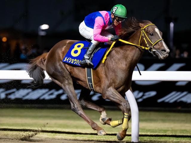 【平安S】メイショウハリオ、ブライアンセンスらが登録