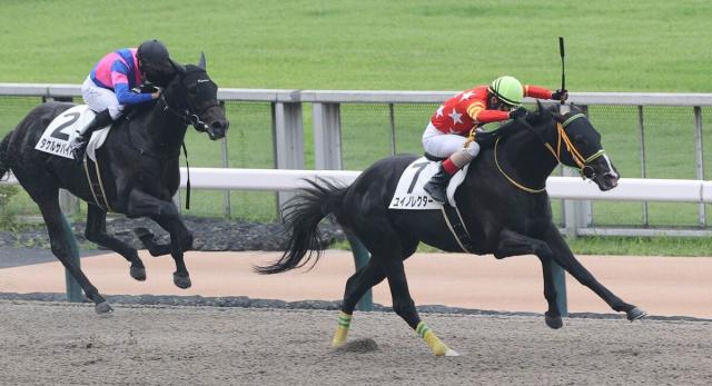 東京競馬は3Rまで全て「7番」が勝利　ヴィクトリアマイルの7番は13番人気のワイドラトゥール
