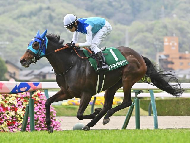 東京芝は回復傾向 ヴィクトリアマイルは中枠の先行馬が穴だ
