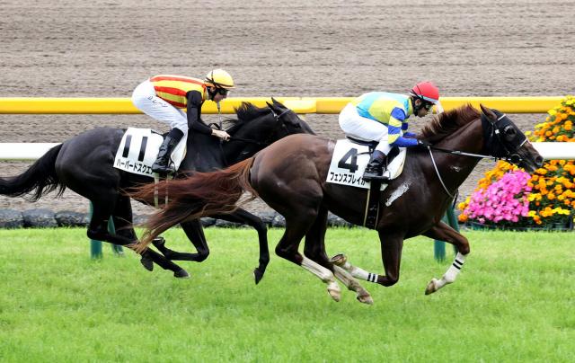 ヴィクトリアマイル当日の東京競馬場の馬場状態　雨の17日から変化し内と外はフラットに近い状態
