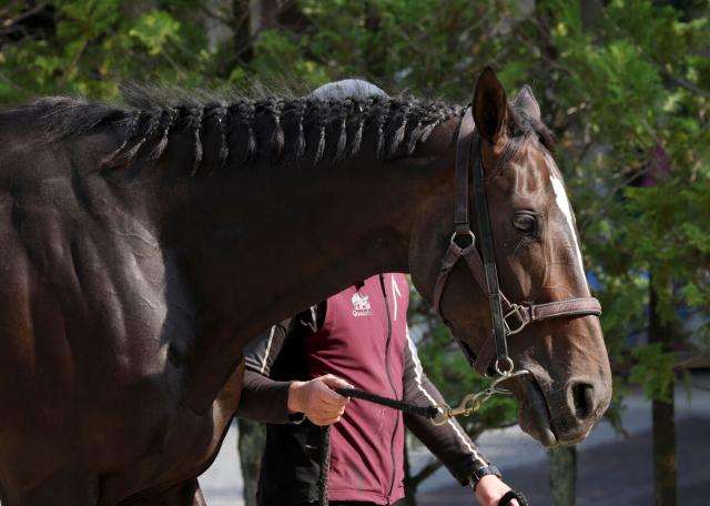 馬トク外厩情報からの推奨馬…ヴィクトリアマイル・G1