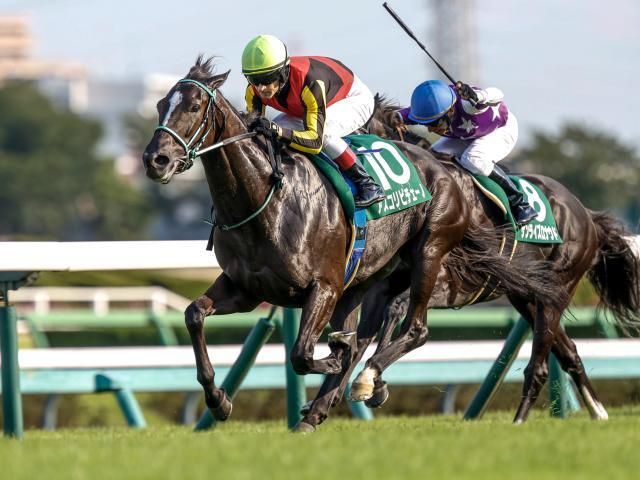 【ヴィクトリアM・馬体重】アスコリピチェーノは476kg、ボンドガールは456kg(+8)
