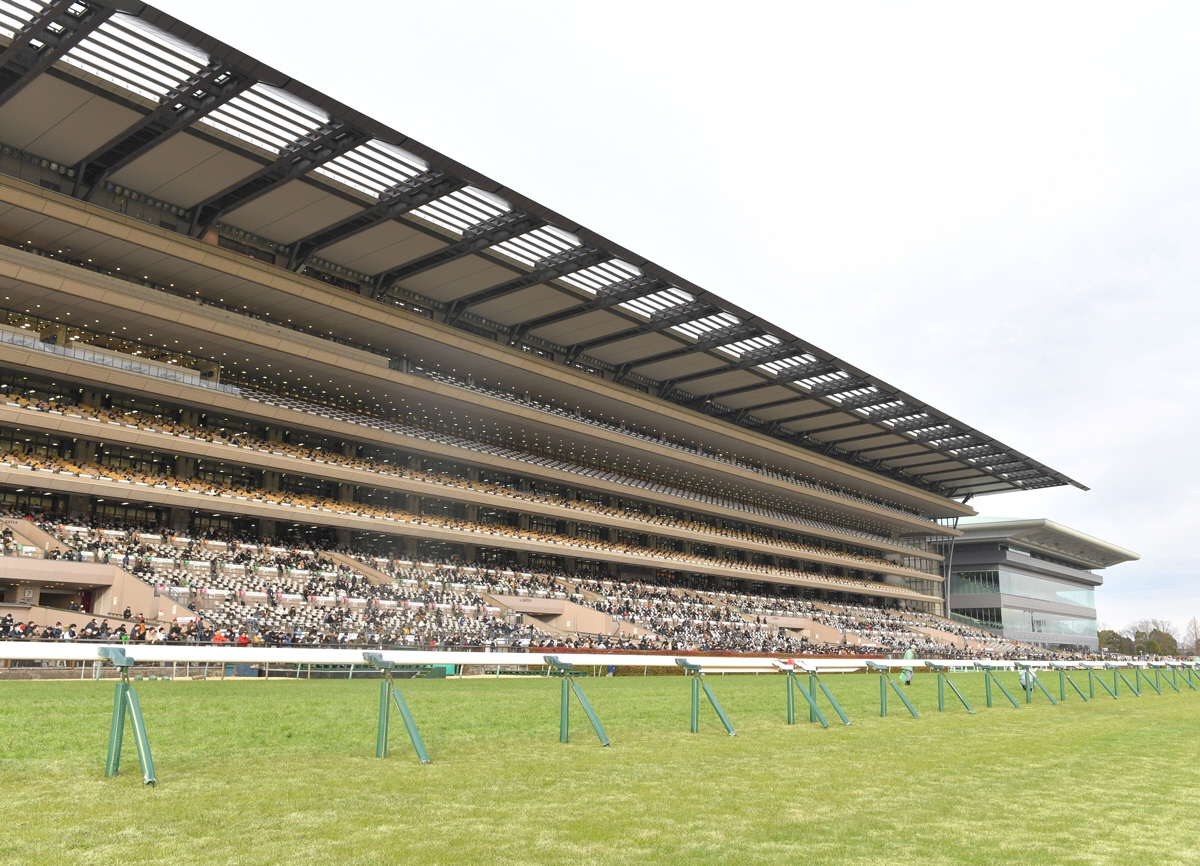京都新聞杯４着のトッピボーンは岩田望との新コンビでダービーへ　僚馬ムイは葵Ｓへ