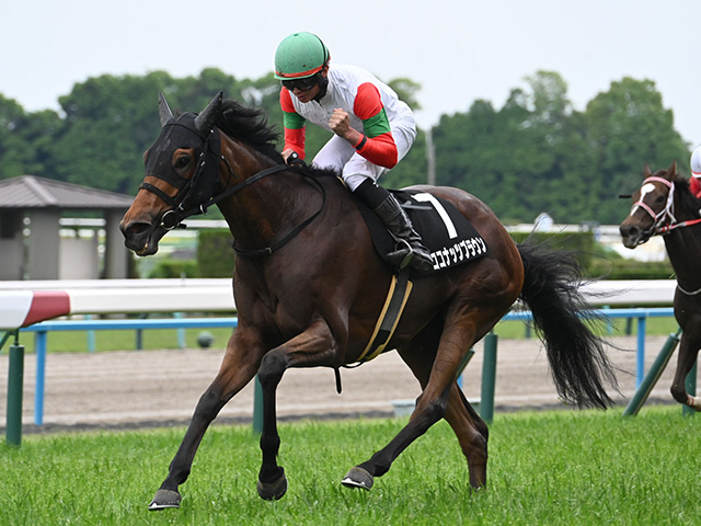 【錦Sレース後コメント】ココナッツブラウン岩田望来騎手ら