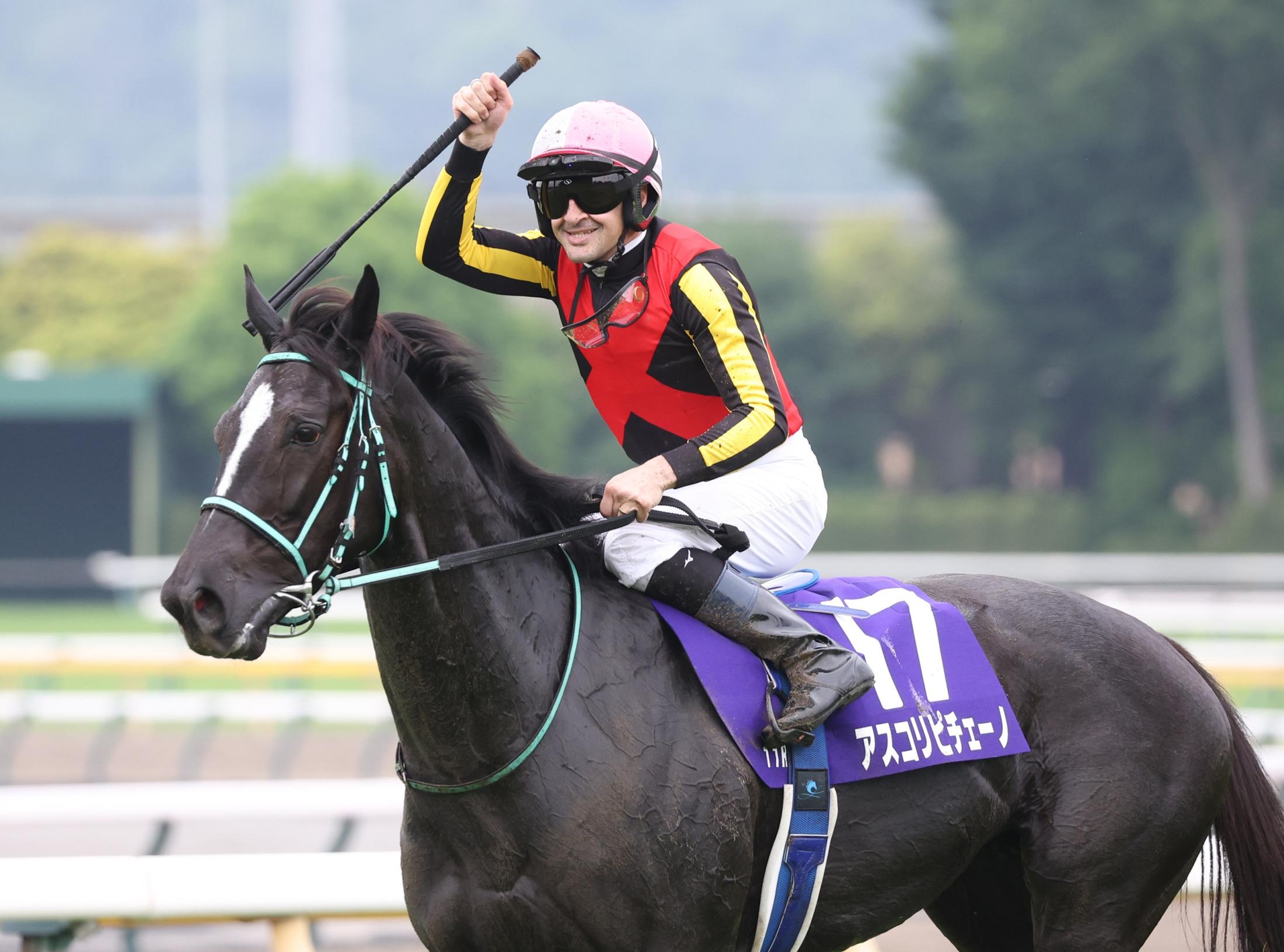 【ヴィクトリアＭ】１番人気アスコリピチェーノが大外強襲でＧ１・２勝目　ルメール「勝ってよかった」