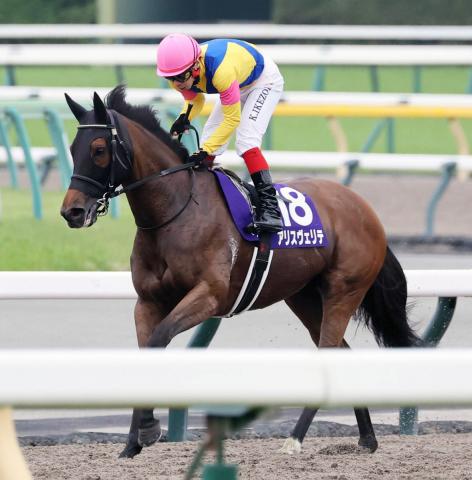 【ヴィクトリアM】大逃げで沸かせた!　5着のアリスヴェリテに池添謙一騎手「見せ場は十分つくった」