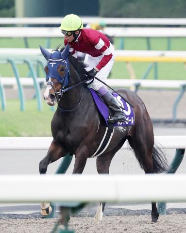 【ヴィクトリアM】直線まったく伸びず…「かかりましたね」武豊騎手の2番人気ボンドガールまさかのブービー16着