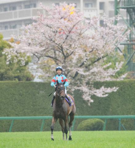 【オークス展望】桜花賞馬エンブロイダリー得意の府中で牝馬2冠へ
